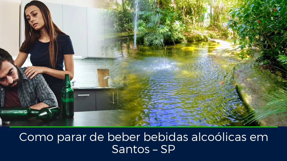 Montagem da imagem do artigo com Orquidário Municipal de Santos, em Santos – SP