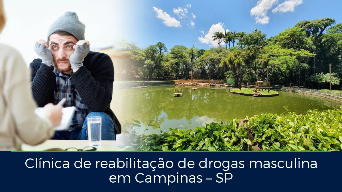 Montagem da imagem do artigo com Parque Bosque dos Jequitibás, em Campinas – SP