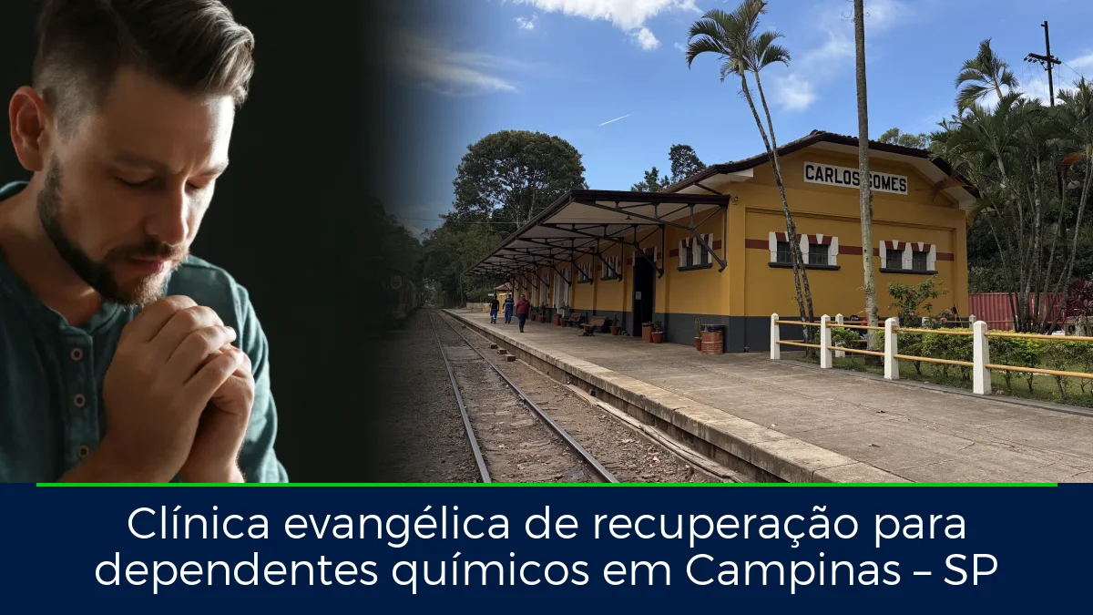 Montagem da imagem do artigo com Passeio de trem - Maria Fumaça Campinas, em Campinas – SP
