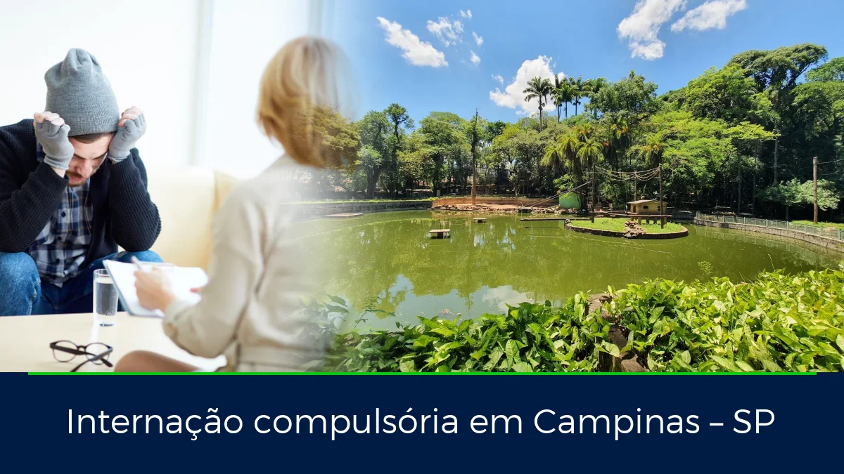 Montagem da imagem do artigo com Parque Bosque dos Jequitibás, em Campinas – SP