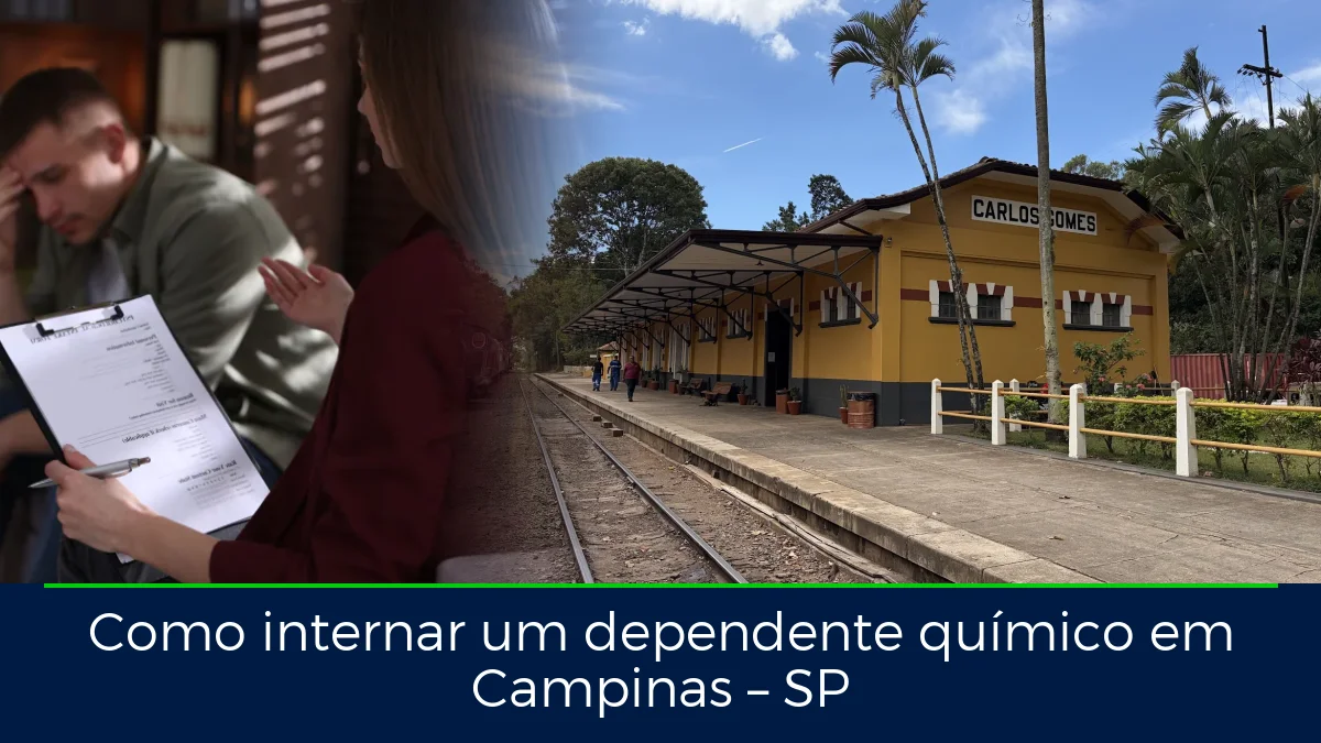 Montagem da imagem do artigo com Passeio de trem - Maria Fumaça Campinas, em Campinas – SP